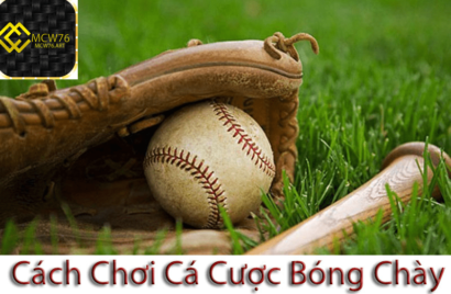 Cá cược bóng chày